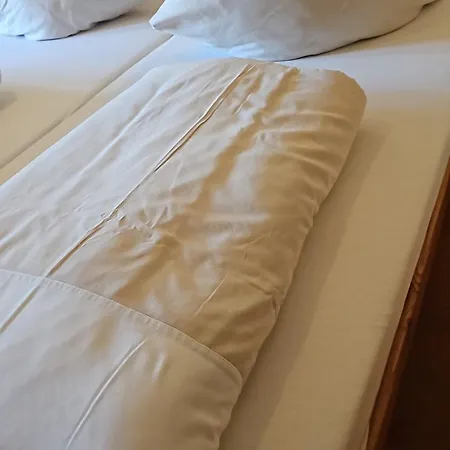 호텔 Zum Hirschen *