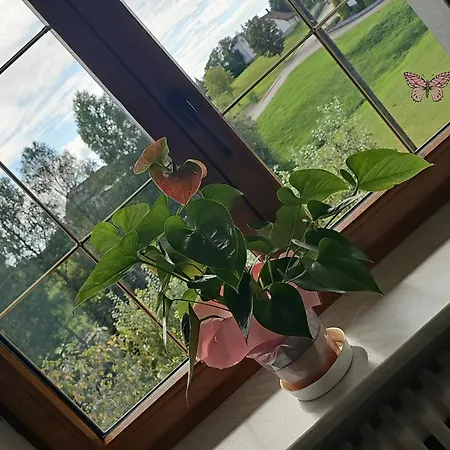 Hotel Zum Hirschen *