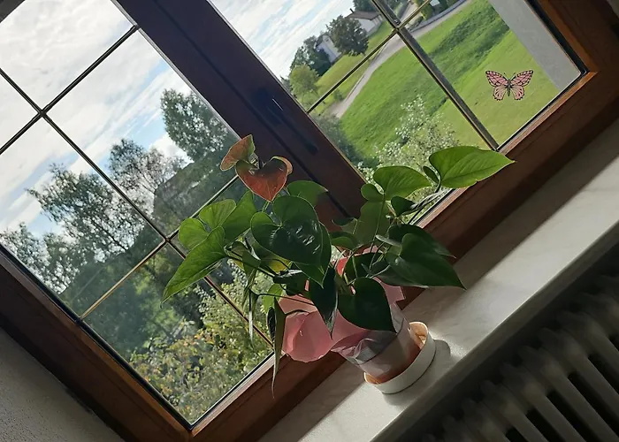 Hotel Zum Hirschen *