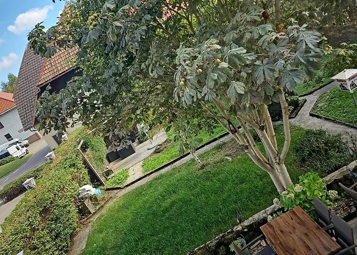 Zum Hirschen Hotel *